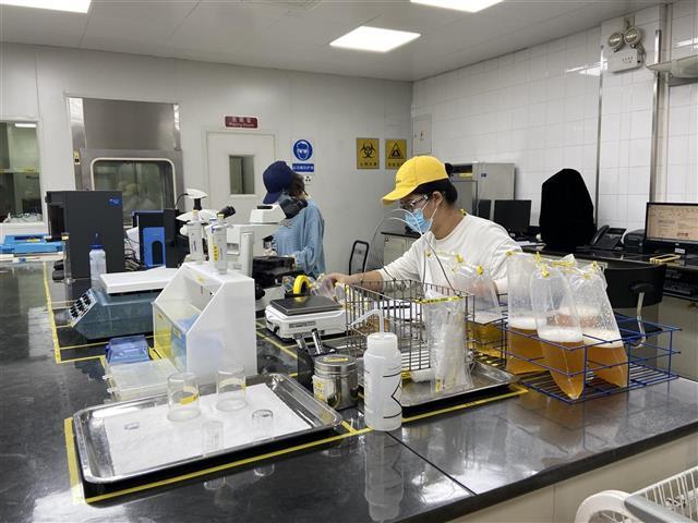 落户汉阳35载 百威武汉工厂以卓越品质助力“新汉阳造”文化崛起